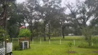 Syren De Mer - In central Florida with @sgtmiles watching Hurricane Ian get..
