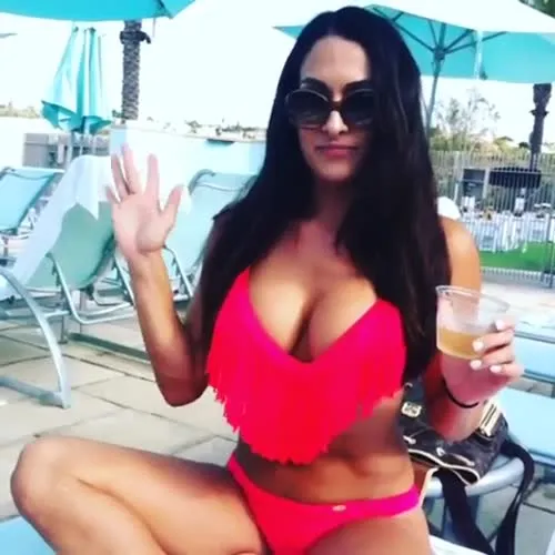 The Bella Twins: Nikki Bella & Brie Bella | Garcia Twins - Video