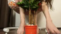 Foot Fetish Daily | FootFetishDaily - 4508 kecy hill showing off