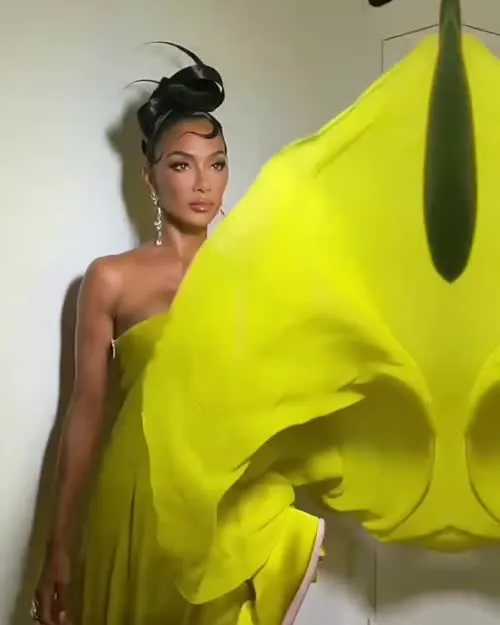 Nicole Scherzinger - Video