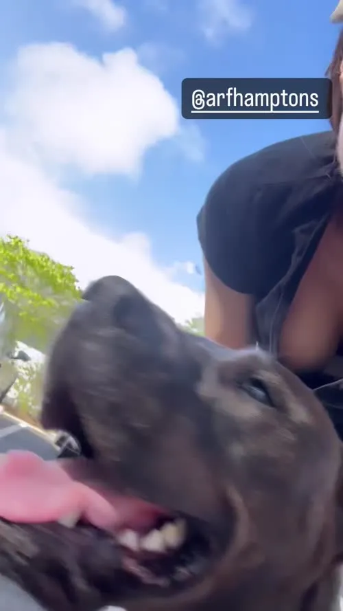 Alexandra Daddario - Video #322415