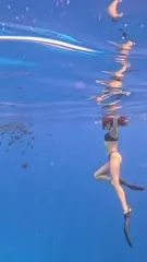 Shay Mitchell - Video #141064