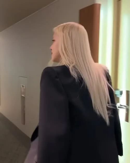 Rosé || Roseanne Park - BLΛƆKPIИK ( BLACKPINK ) - Video #312343