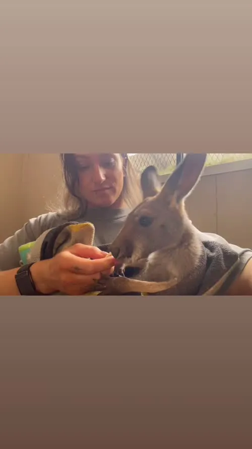 Kris Statlander - Video #167719