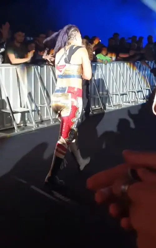 WWE Bayley / Davina Rose / Pamela Rose Martinez - Video #384960