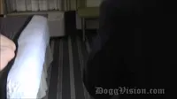 Dogg Vision | DoggVision - Big butt GILF Amber Connors squirts in hotel stairwell