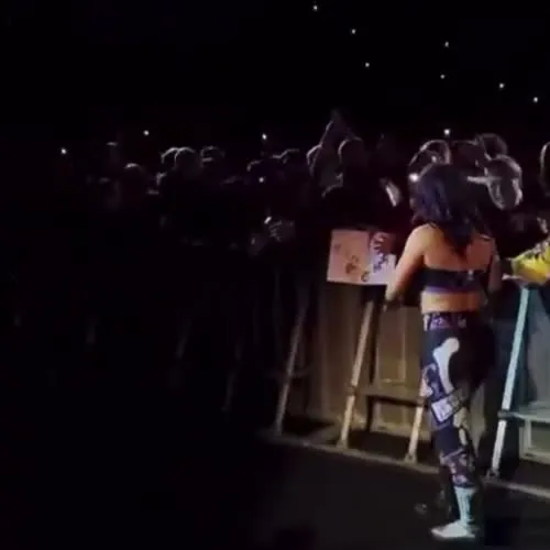 WWE Bayley / Davina Rose / Pamela Rose Martinez - Video #395482