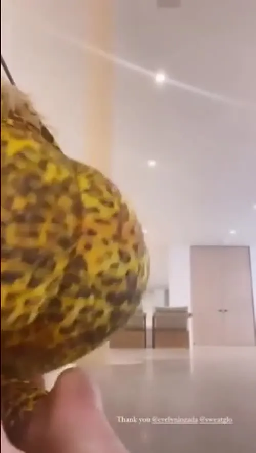Khloe Kardashian - Video #187913
