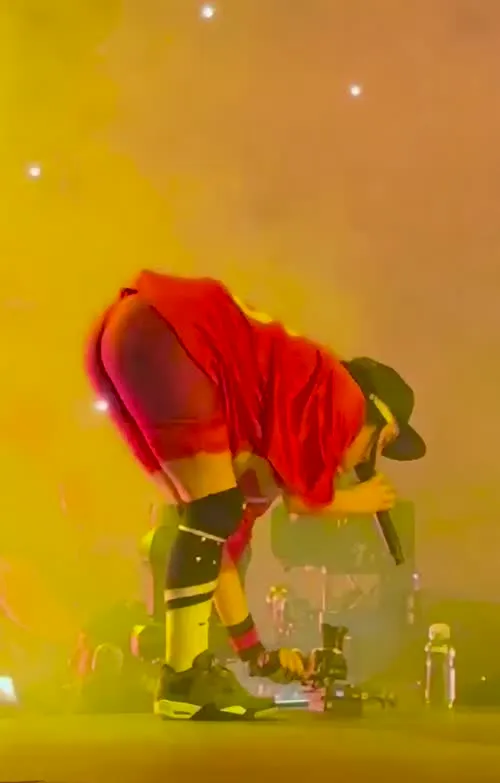 Billie Eilish - Video #393731