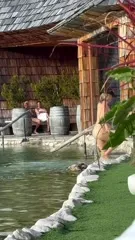 Jenny Mollen - Video