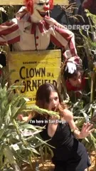 Katie Douglas - Video #72254