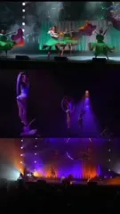 Lindsey Stirling - Video #319044