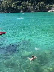 Alycia Debnam Carey - Video #327623