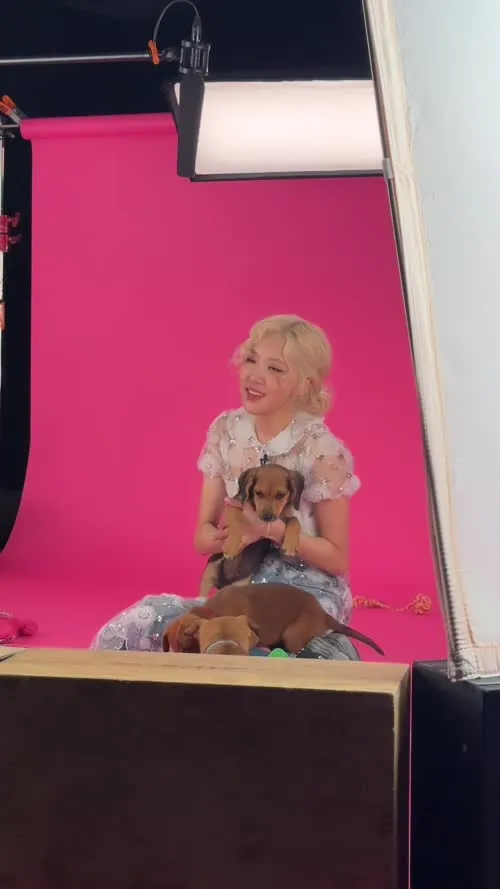Rosé || Roseanne Park - BLΛƆKPIИK ( BLACKPINK ) - Video #288829
