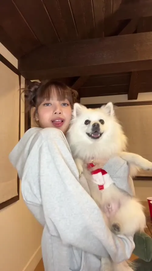 Lisa | BLΛƆKPIИK (Blackpink) - Video #339683