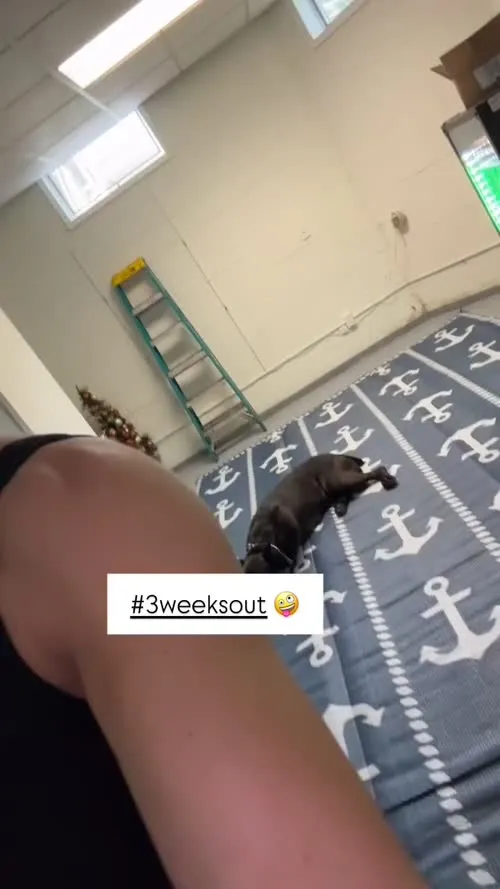 Mandy Sacs | Mandy Rose - Video #371297