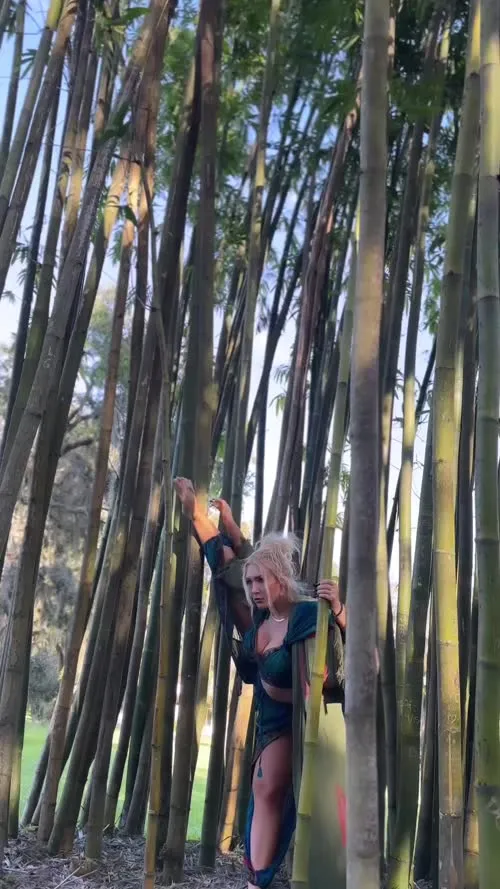 WWE Nikkita Lyons - Video #340530