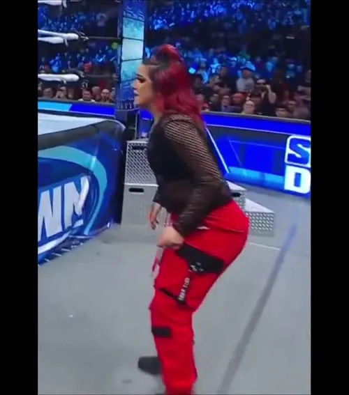 WWE Bayley / Davina Rose / Pamela Rose Martinez - Video #339542