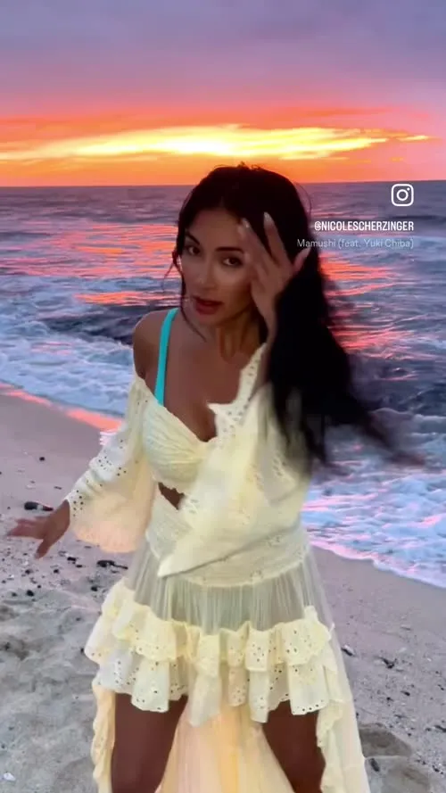 Nicole Scherzinger - Video