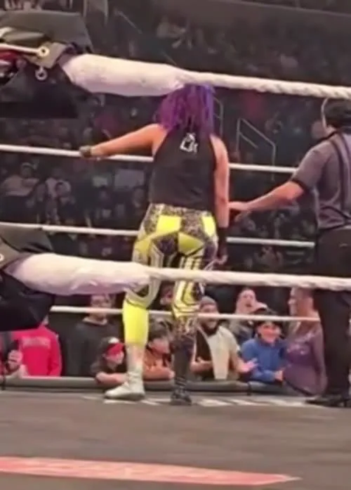 WWE Bayley / Davina Rose / Pamela Rose Martinez - Video