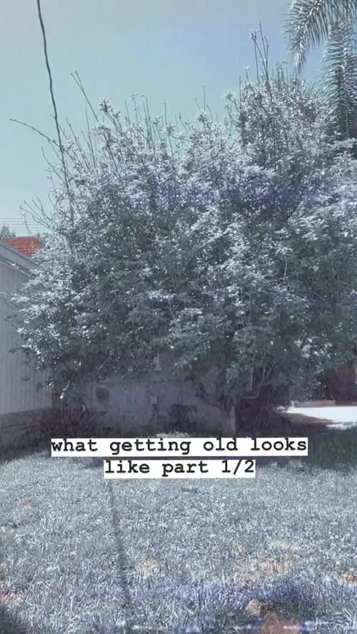 Ireland Baldwin - Video #140876
