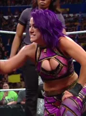 WWE Bayley / Davina Rose / Pamela Rose Martinez - Video #419513