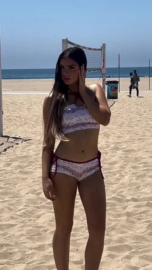 Brighton Sharbino - Video #314632