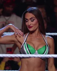 The Bella Twins: Nikki Bella & Brie Bella | Garcia Twins - Video #379410