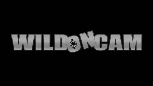 Dillion Harper - Adriana Chechik and Dillion Harper - Wildoncam March 19, 2015