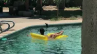 Reagan Foxx - Video