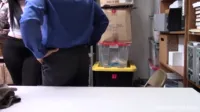 Shoplyfter - Amilia Onyx - Case No 3233359