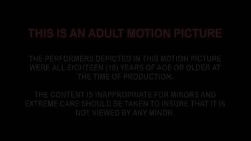 Adult movies DVD - Anal fanatic Vol. 6