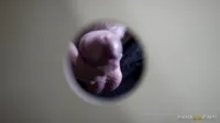 Danny D - Angel Wicky - Glory hole gagging