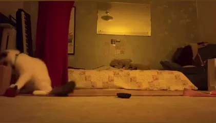 Ella Ballentine - Video