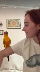 Sophia Anne Caruso - Video