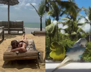 Clara McGregor - Video