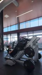 Chandler Olivia Hayden - Video