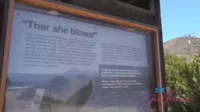 Serena Hill | serenaxhill - ATKGirlfriends - Serena Hill Malibu Park.1 XXX