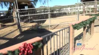 Dez Hansen - ATK Girlfriends - Farm Date.1 (2025-12-13)
