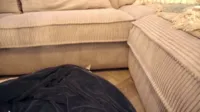 Lily Adair | x_lily_x - Video
