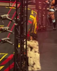 Fallon Henley (WWE) - Video #75659