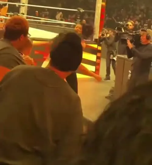 WWE Bayley / Davina Rose / Pamela Rose Martinez - Video #393417