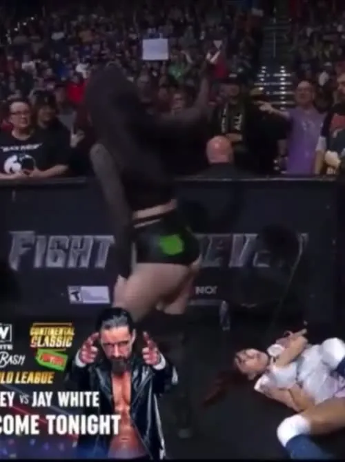 WWE's Paige / Saraya Bevis - Video #178481