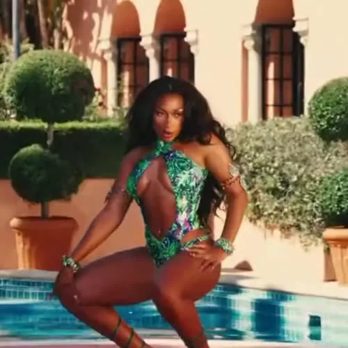 Megan Thee Stallion - Video #177856