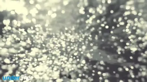 Bar Refaeli - Video #70509