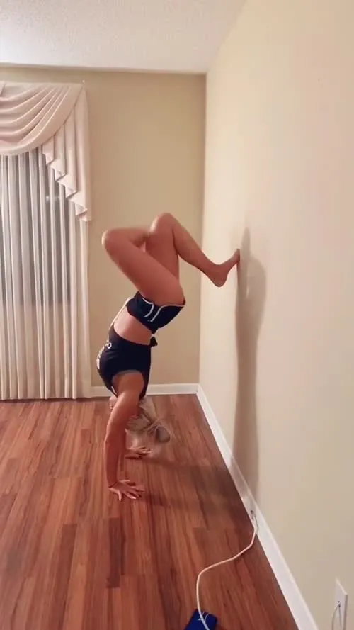 Ashley Sebera (formerly WWE Dana Brooke) - Basic accomplished chihuahua