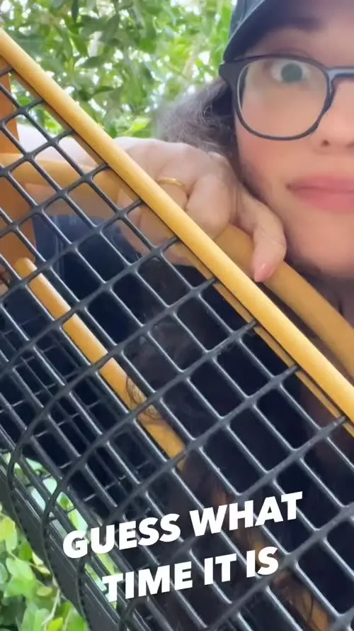 Kat Dennings - Video