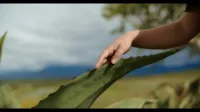 LustCinema / ErikaLust - Beso de mezcal - XConfessions Vol. 33