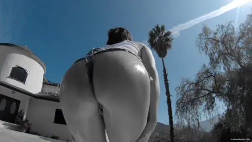 Adult movies DVD - Big wet asses 24 (Elegant Angel)