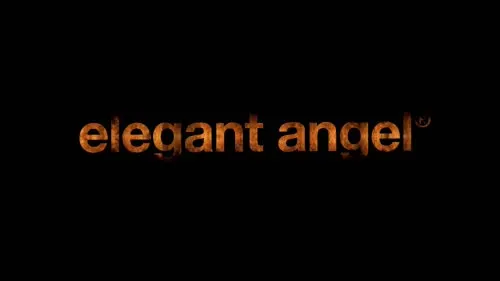 Adult movies DVD - Big wet tits 17 (Elegant Angel)